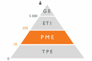 Comment bien choisir un logiciel ERP pour une PME ?